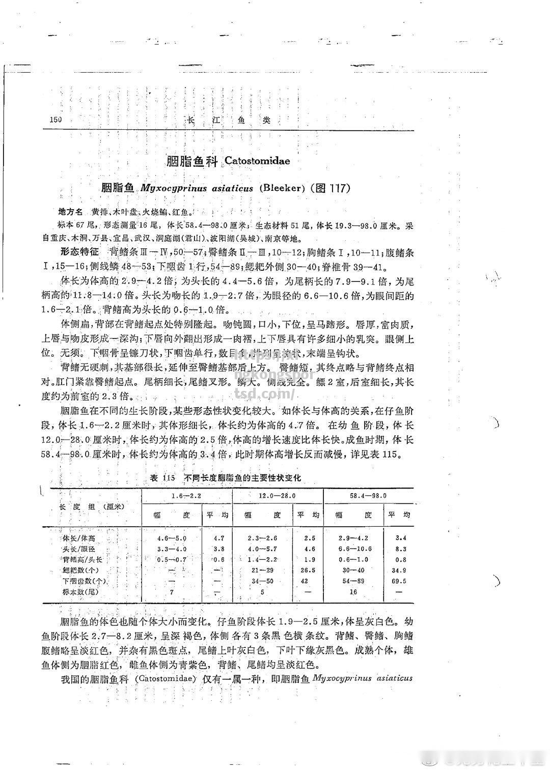 星空体育-瑞士胜过保加利亚，欧洲国家联赛较著实录令人期待